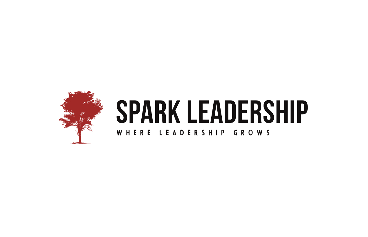 SPARK Leadership - How to lead in a VUCA world